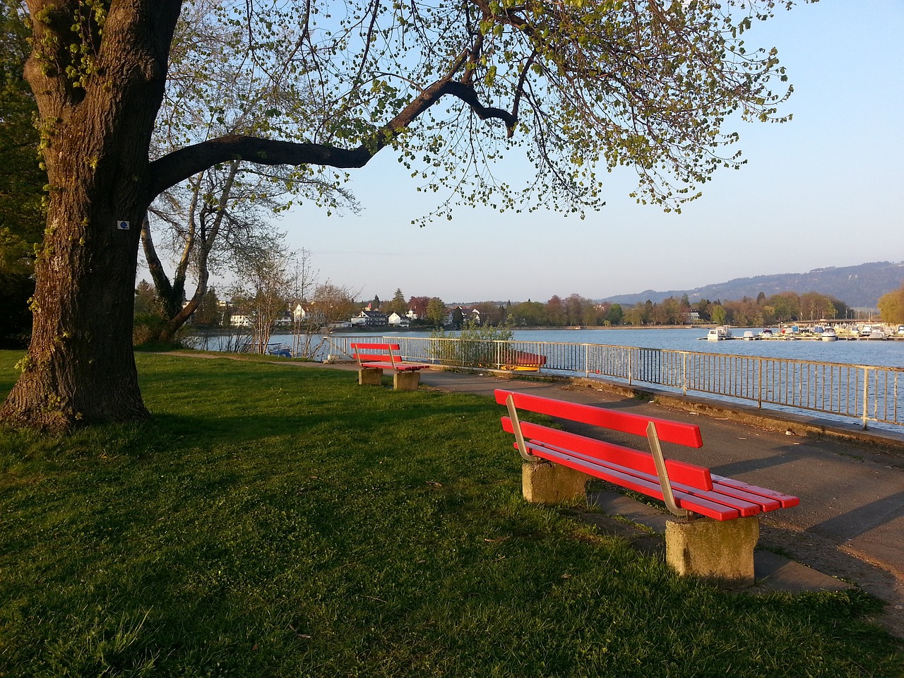 曼联队管理 曼联队管理